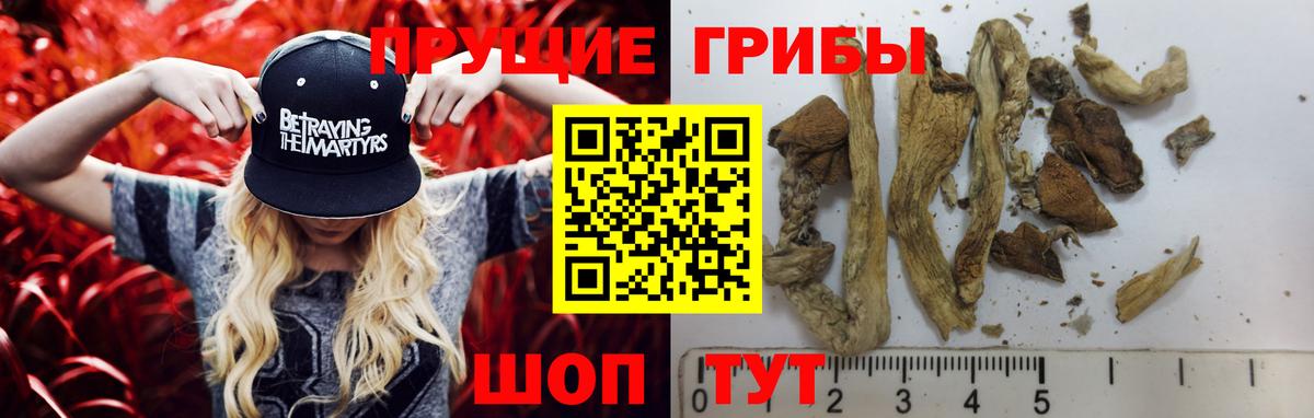 Галлюциногенные грибы мухоморы Нальчик