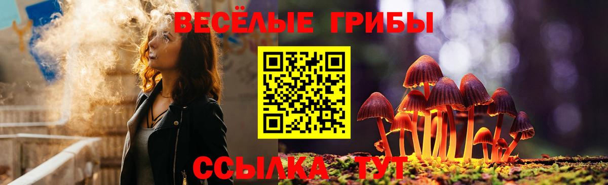 Нальчик  Псилоцибиновые грибы Cubensis  Вход с VPN 
